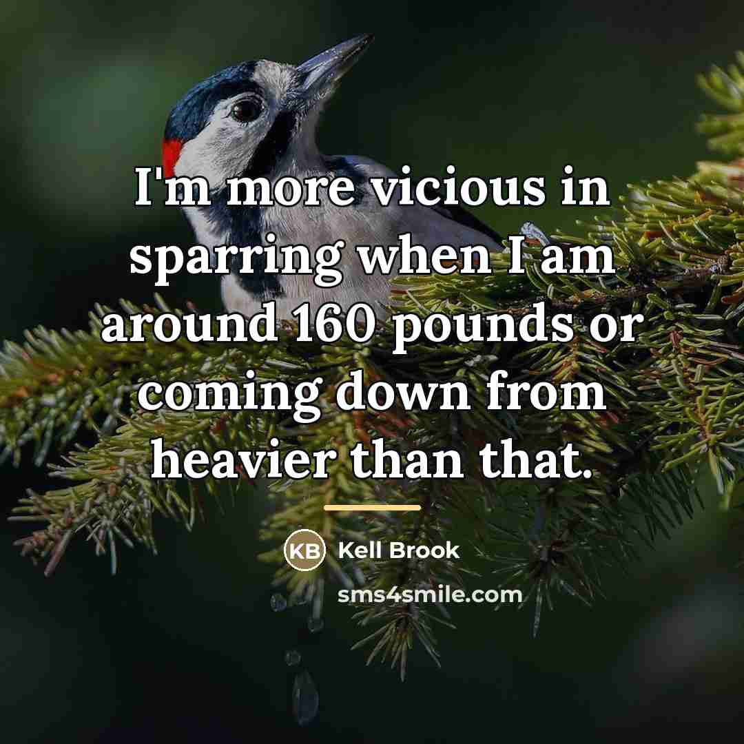 “I'm more vicious in sparring when I am around 160…” quote by Kell Brook