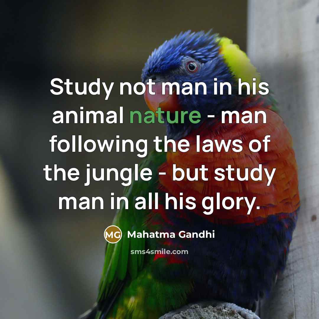 “Study not man in his animal nature - man following…” quote by Mahatma Gandhi