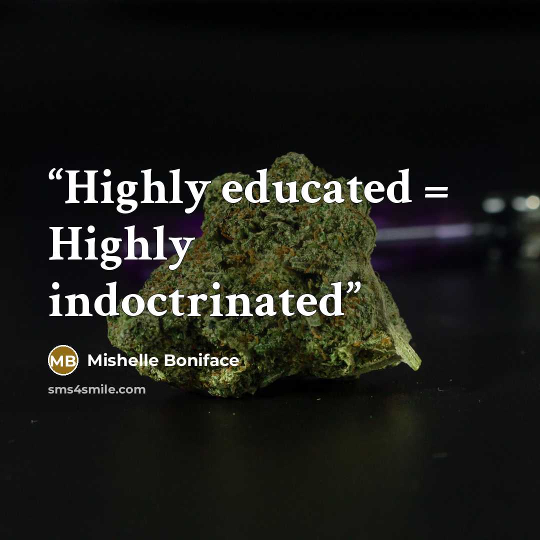 “Highly educated = Highly indoctrinated” quote by Mishelle Boniface