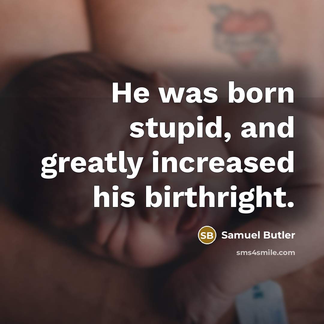 “He was born stupid, and greatly increased his birthright.…” quote by Samuel Butler