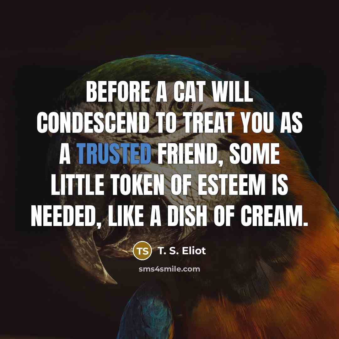 “Before a cat will condescend to treat you as a…” quote by T. S. Eliot