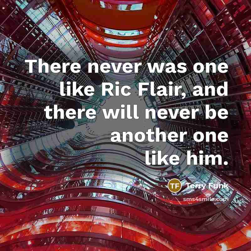 “There never was one like Ric Flair, and there will…” quote by Terry Funk
