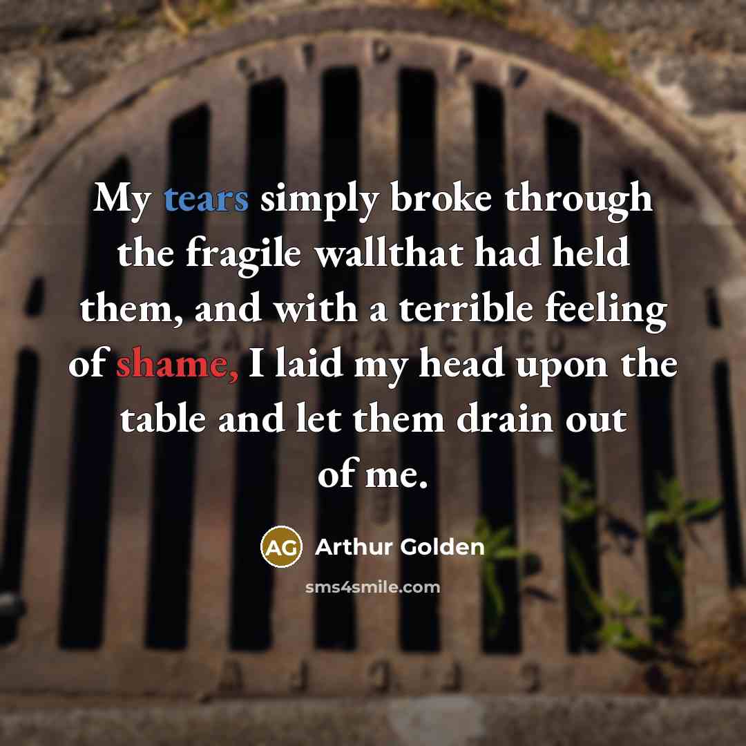 “My tears simply broke through the fragile wallthat had held…” quote by Arthur Golden