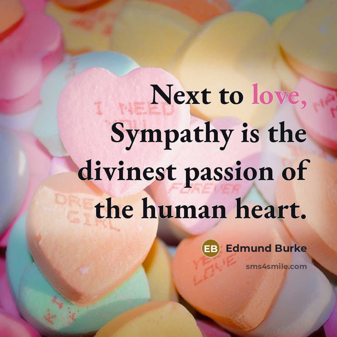 “Next to love, Sympathy is the divinest passion of the…” quote by Edmund Burke