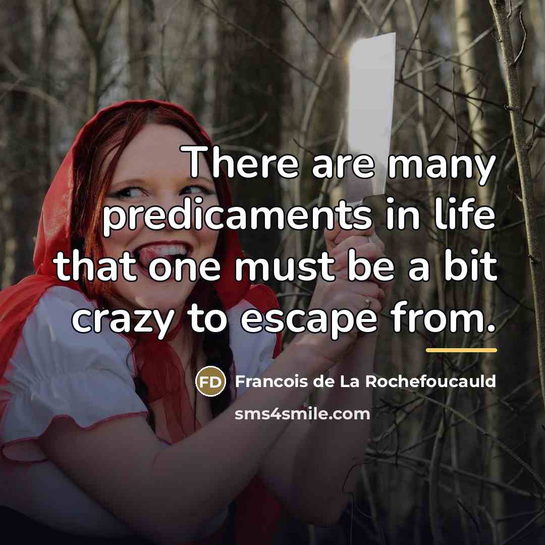 “There are many predicaments in life that one must be…” quote by Francois de La Rochefoucauld