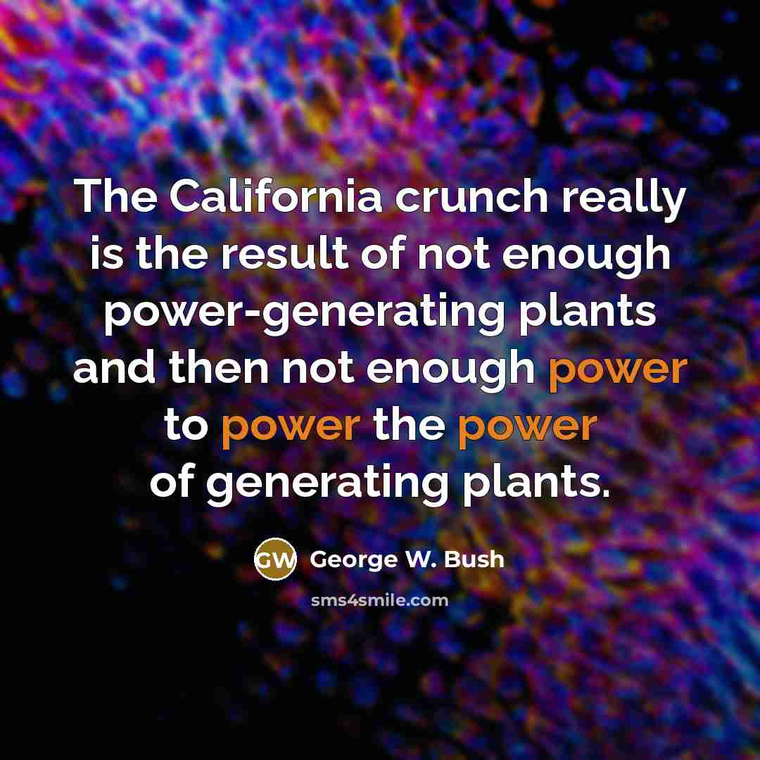 “The California crunch really is the result of not enough…” quote by George W. Bush