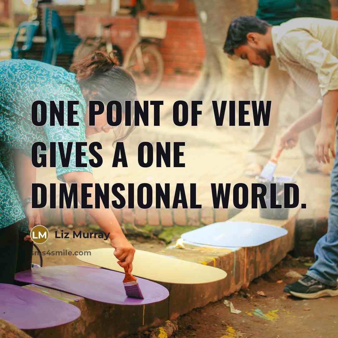 “One point of view gives a one dimensional world.…” quote by Liz Murray
