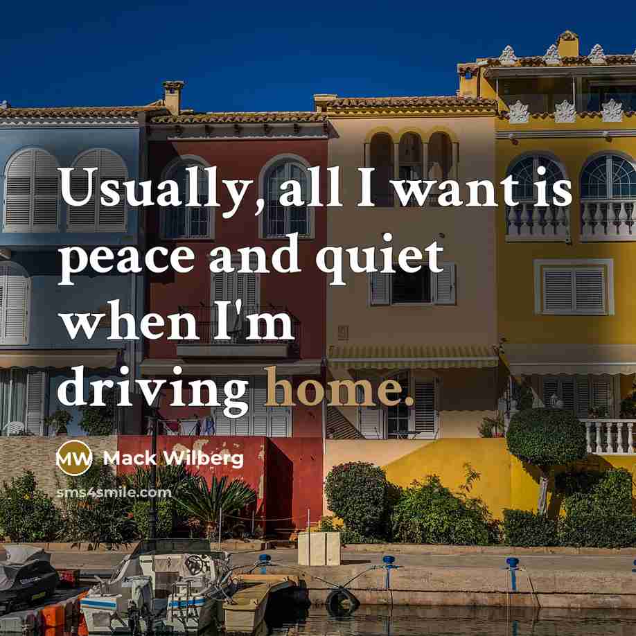 “Usually, all I want is peace and quiet when I'm…” quote by Mack Wilberg