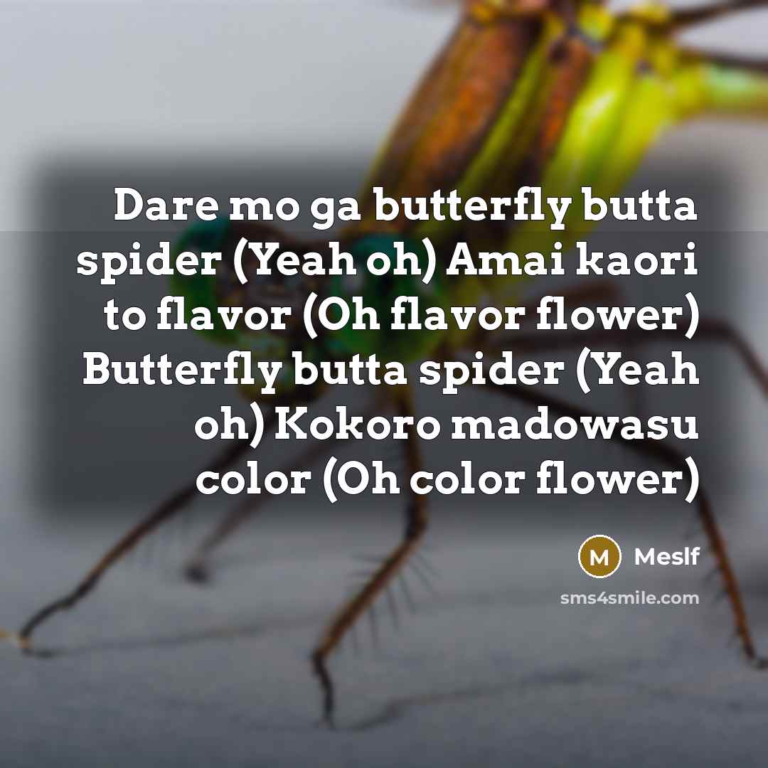 “Dare mo ga butterfly butta spider (Yeah oh) Amai kaori…” quote by Meslf