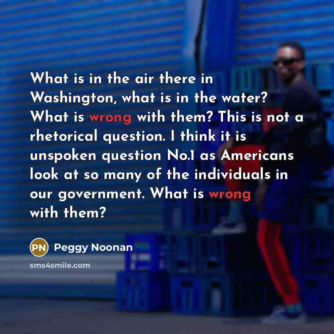 “What is in the air there in Washington, what is…” quote by Peggy Noonan