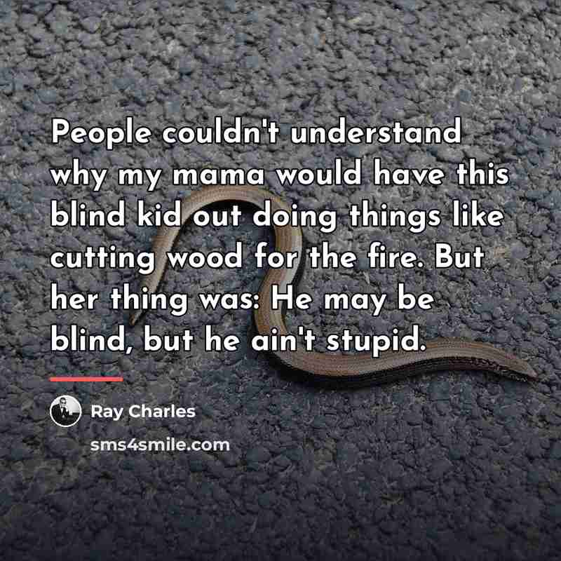 “People couldn't understand why my mama would have this blind…” quote by Ray Charles