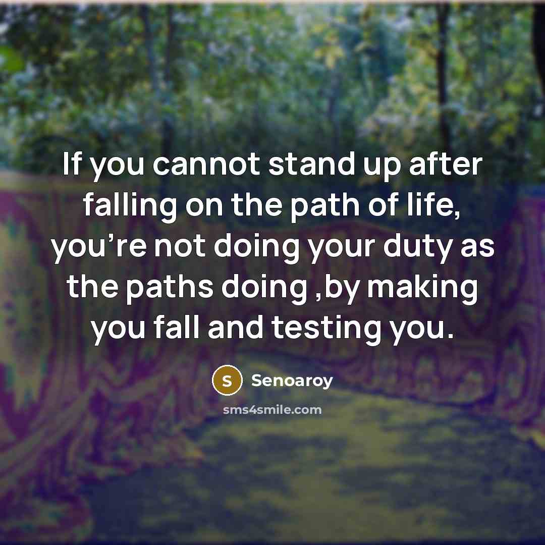 “If you cannot stand up after falling on the path of life, you're not doing your duty as the paths doing ,by making you fall and testing you.” quote by Senoaroy