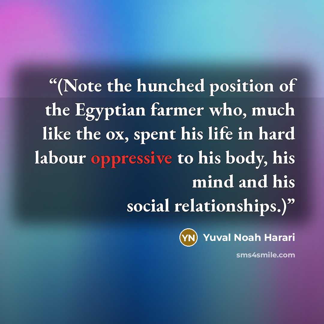 “(Note the hunched position of the Egyptian farmer who, much like the ox, spent his life in hard labour oppressive to his body, his mind and his social relationships.)” quote by Yuval Noah Harari