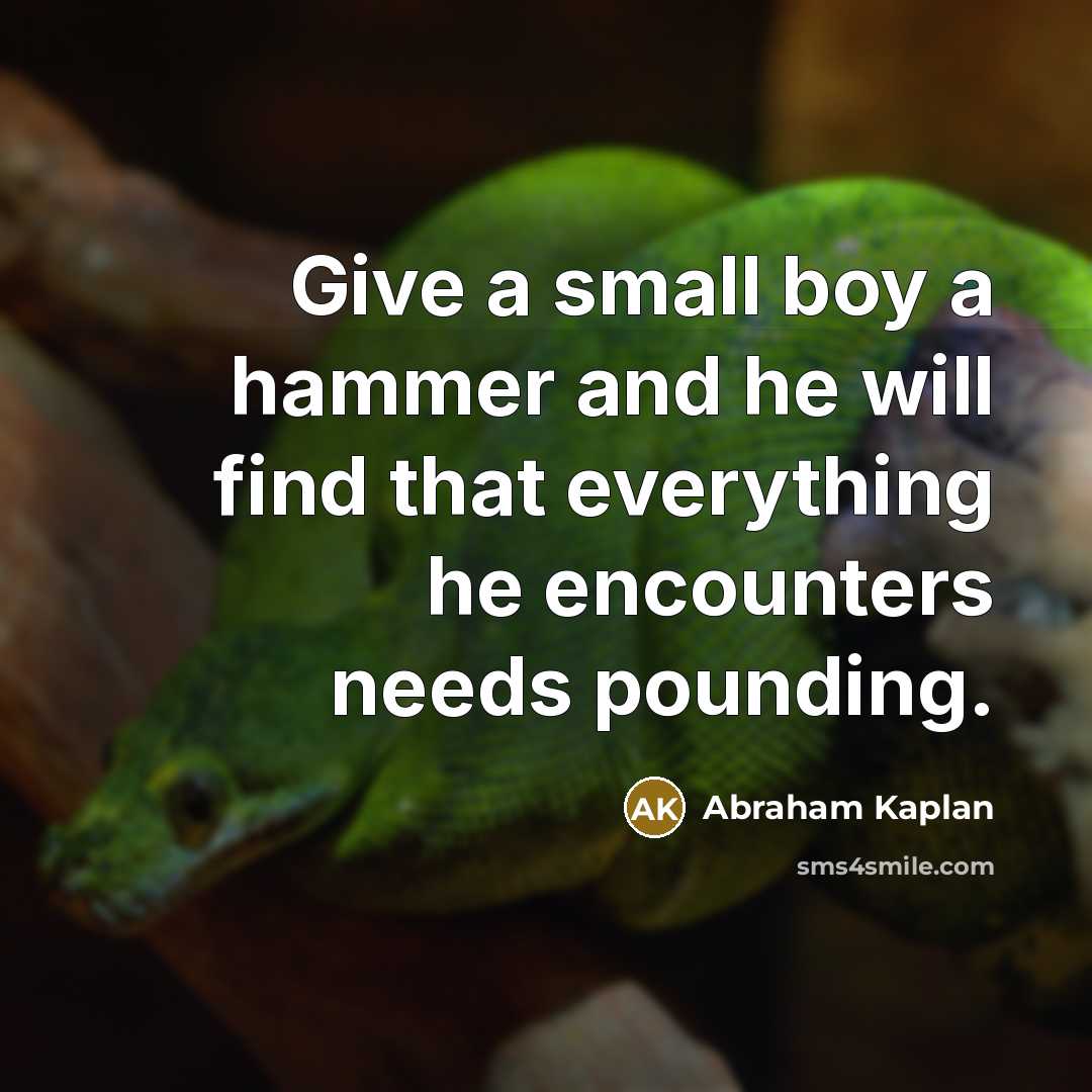 “Give a small boy a hammer and he will find…” quote by Abraham Kaplan