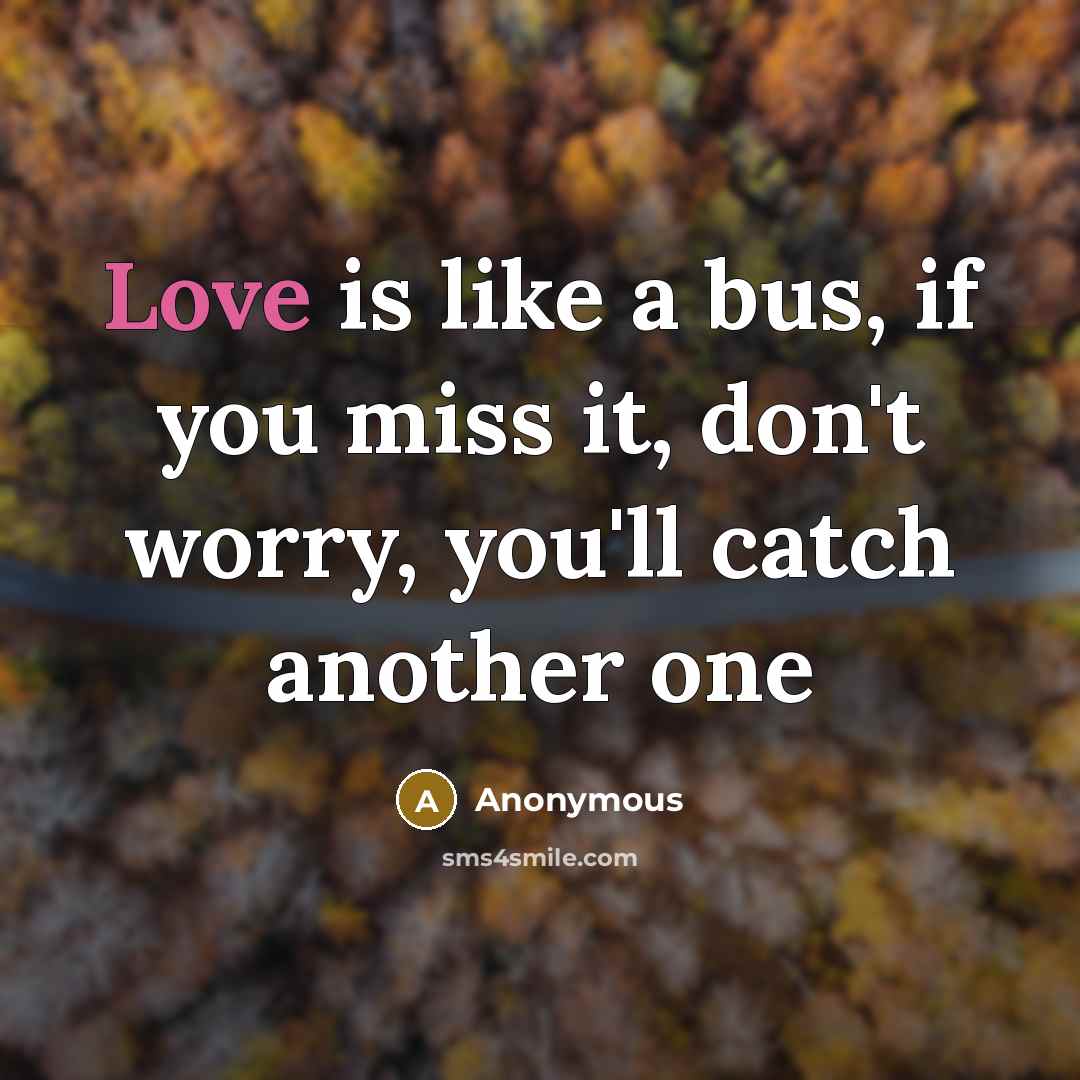 “Love is like a bus, if you miss it, don't…” quote by Anonymous
