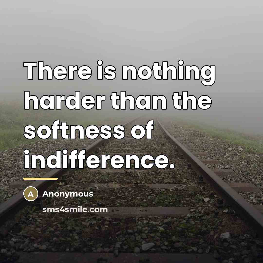 “There is nothing harder than the softness of indifference.…” quote by Anonymous