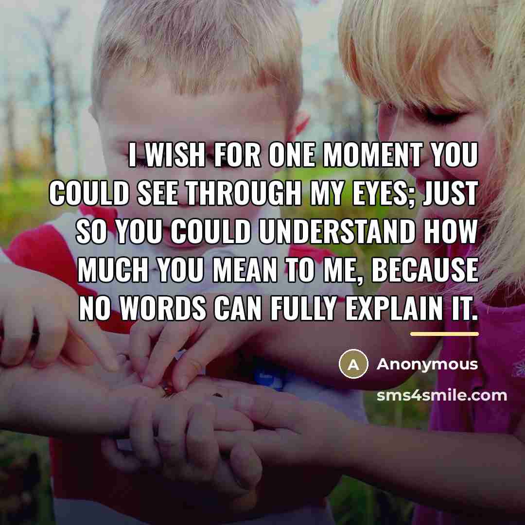 “I wish for one moment you could see through my…” quote by Anonymous