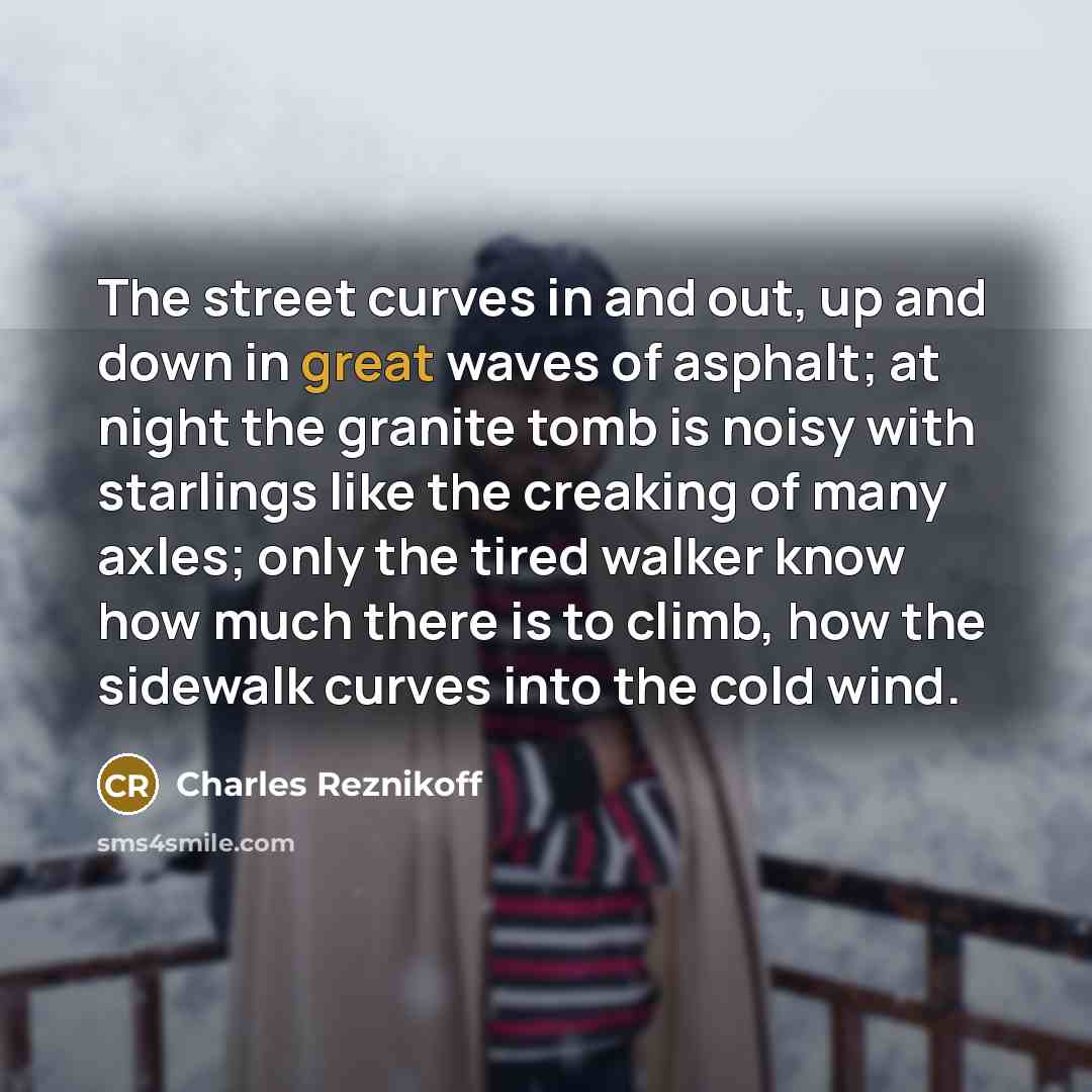 “The street curves in and out, up and down in…” quote by Charles Reznikoff
