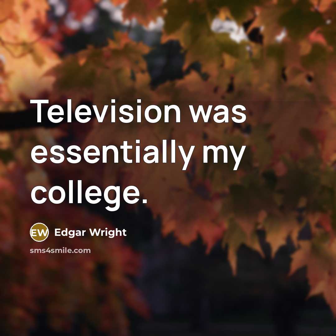 “Television was essentially my college.…” quote by Edgar Wright