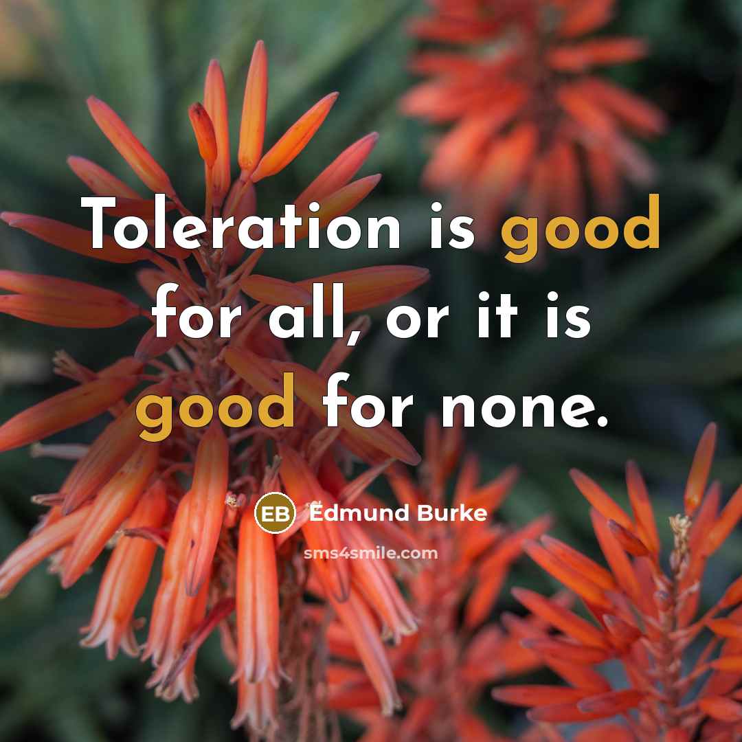 “Toleration is good for all, or it is good for none.” quote by Edmund Burke