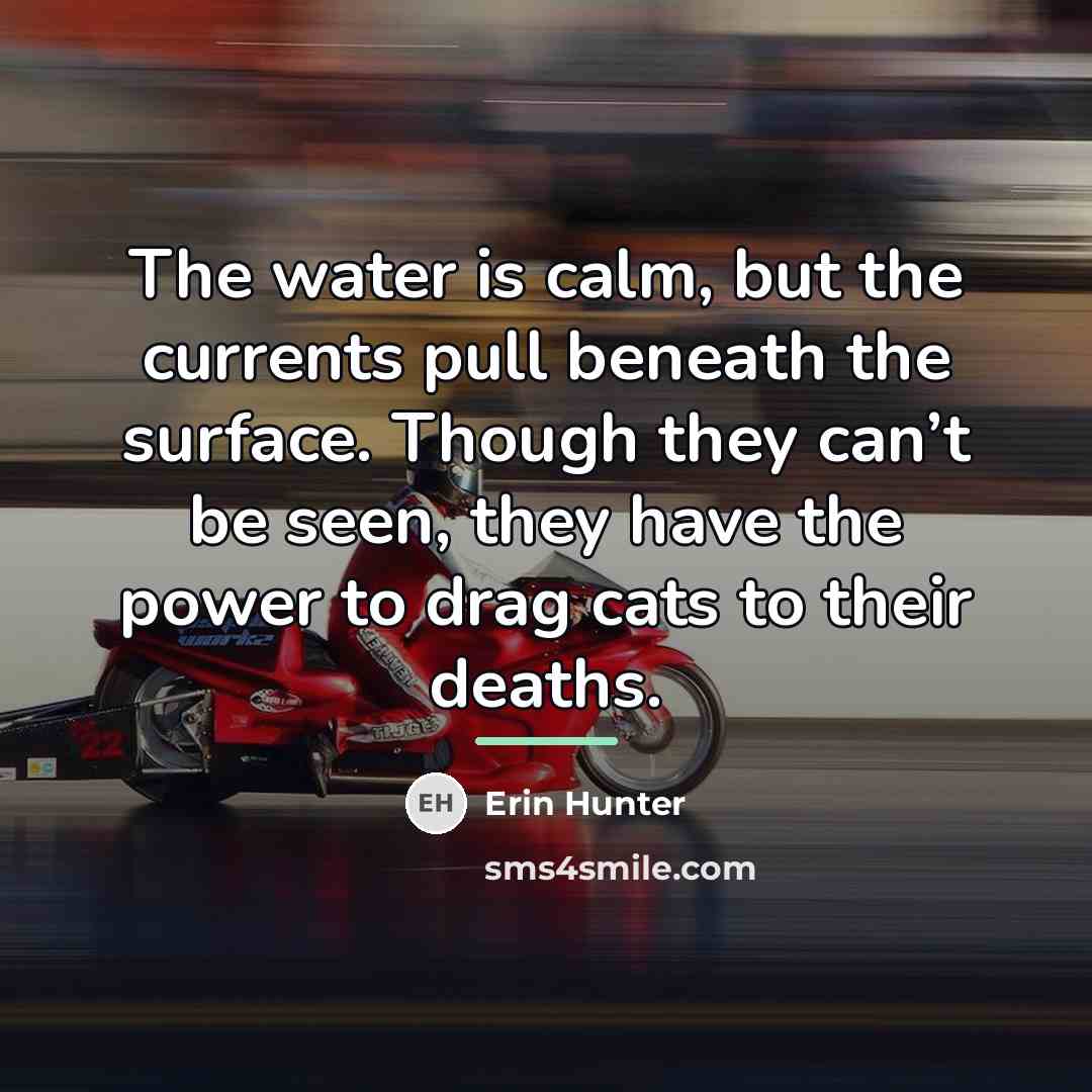 “The water is calm, but the currents pull beneath the…” quote by Erin Hunter