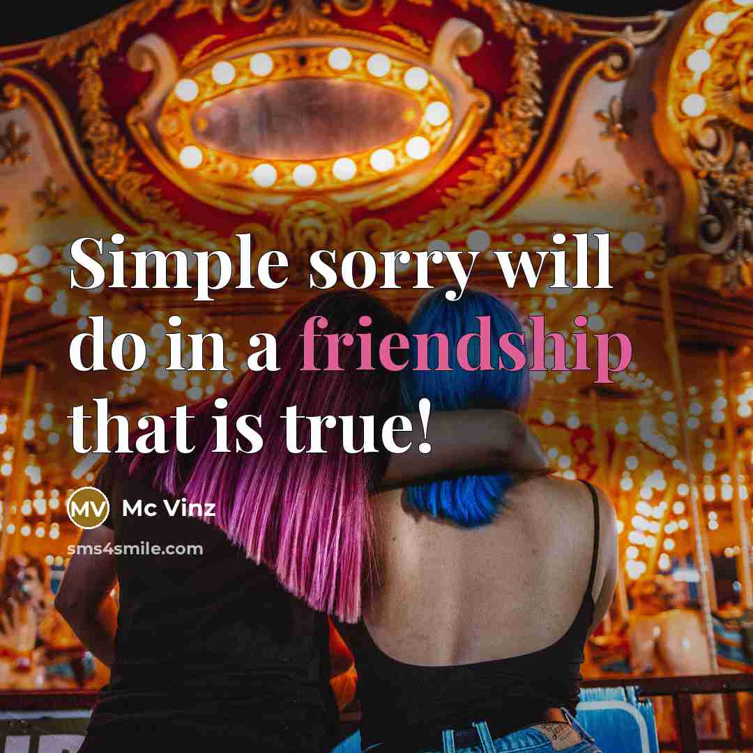 “Simple sorry will do in a friendship that is true!…” quote by Mc Vinz