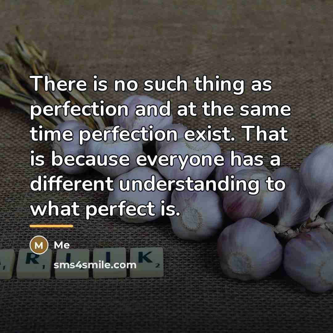 “There is no such thing as perfection and at the…” quote by Me