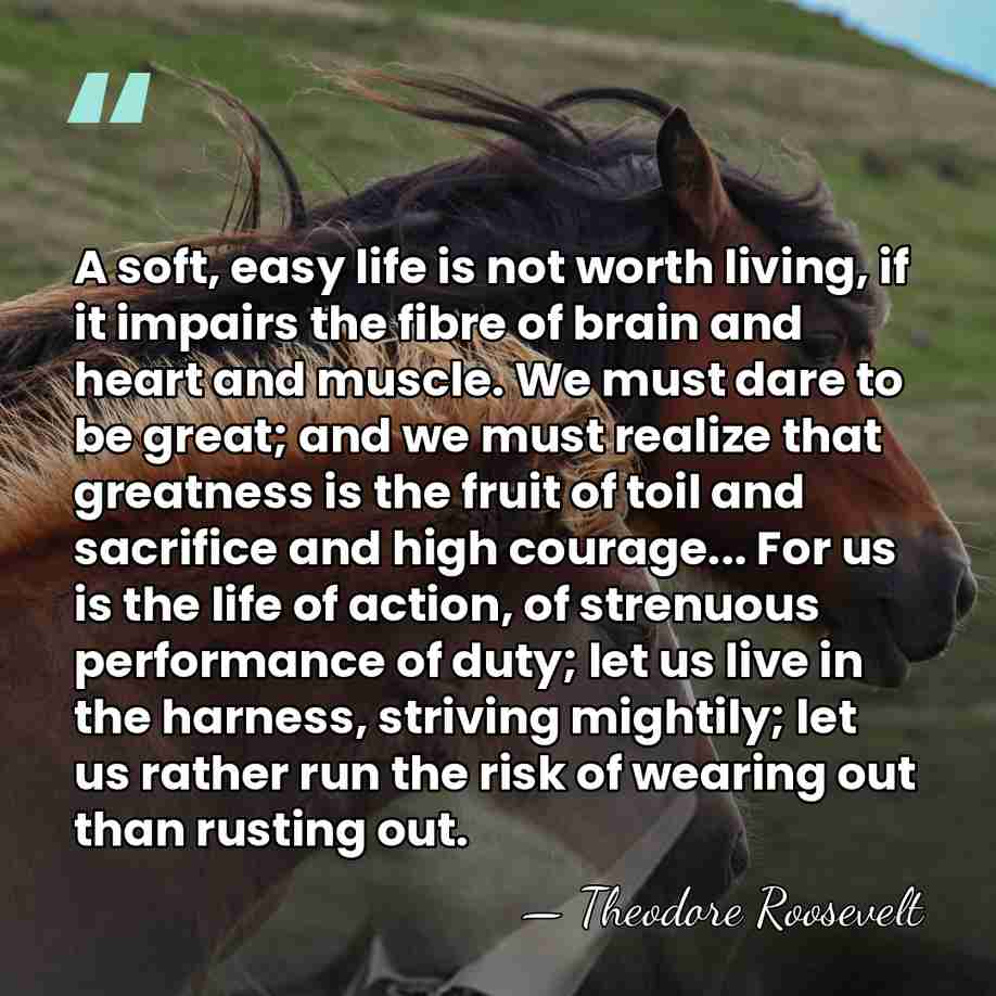 A soft, easy life is not worth living, if it impairs the&hellip; - Theodore Roosevelt