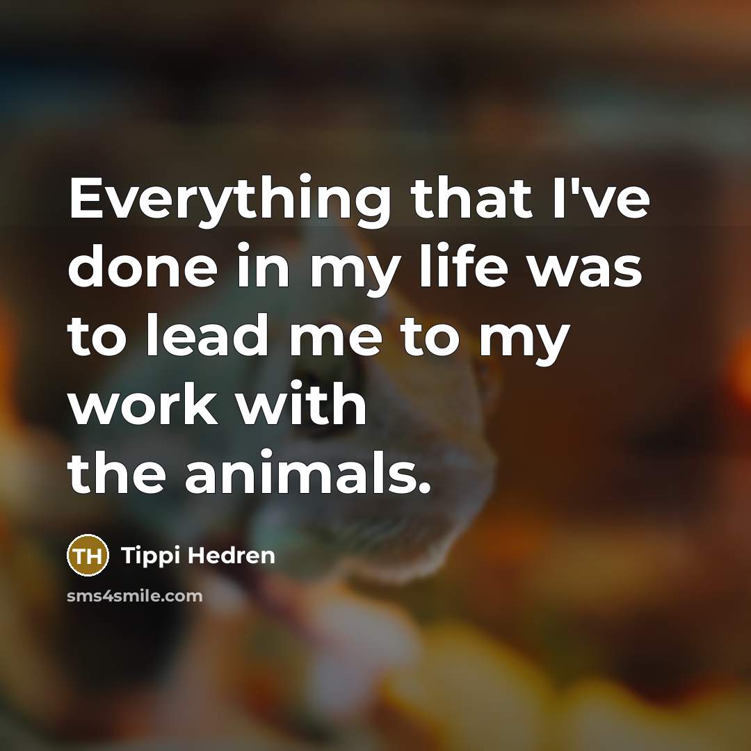 “Everything that I've done in my life was to lead…” quote by Tippi Hedren