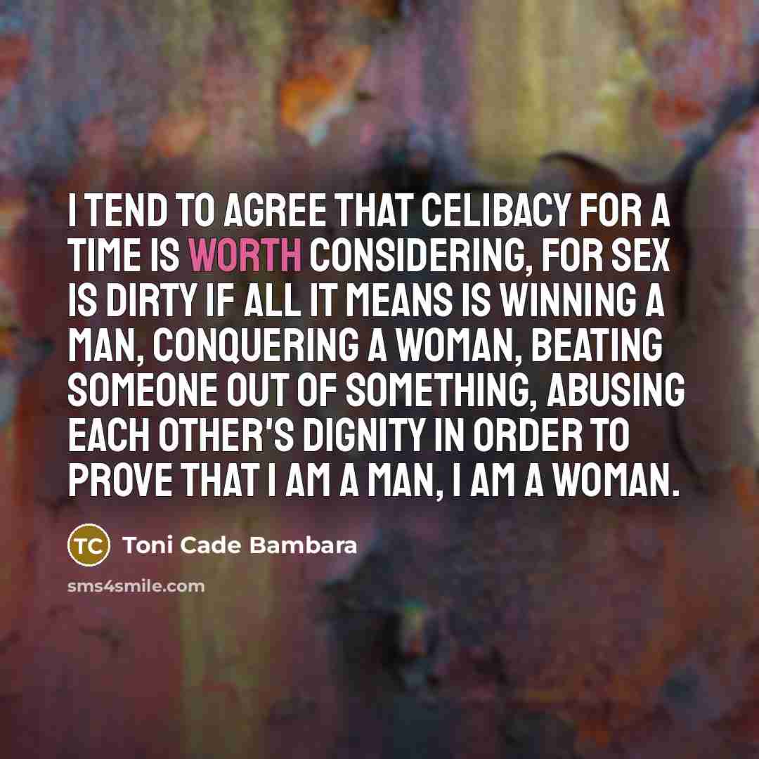 “I tend to agree that celibacy for a time is…” quote by Toni Cade Bambara