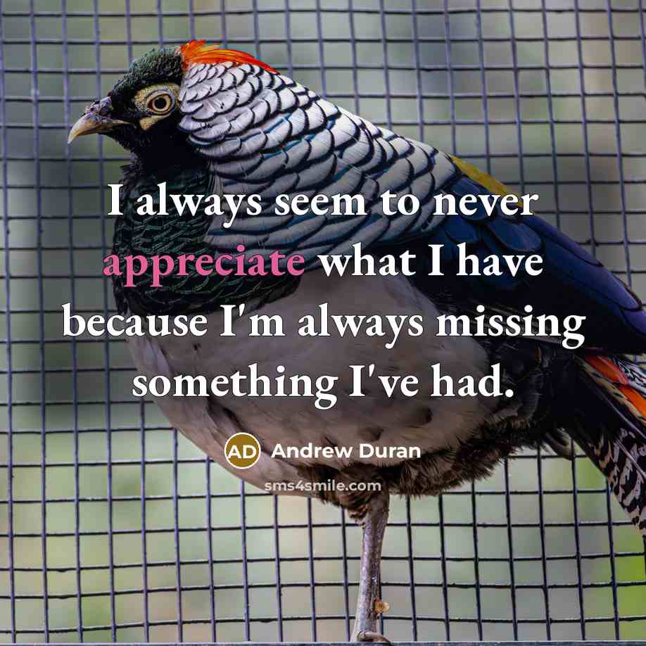 “I always seem to never appreciate what I have because I'm always missing something I've had.” quote by Andrew Duran
