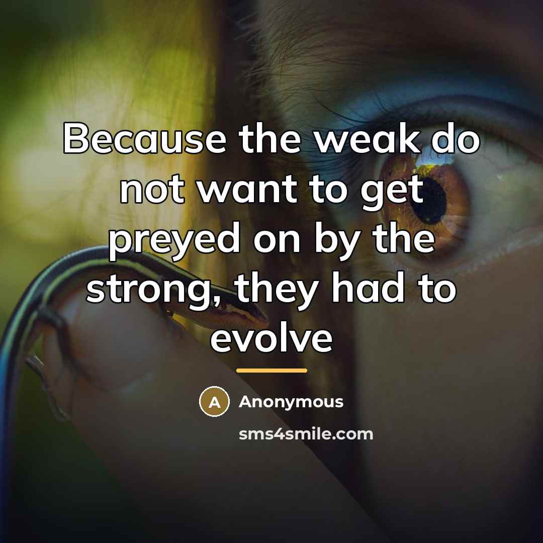 “Because the weak do not want to get preyed on…” quote by Anonymous