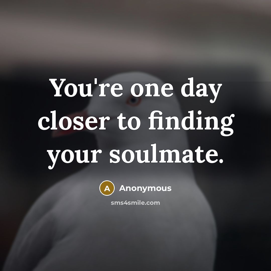 “You're one day closer to finding your soulmate.…” quote by Anonymous