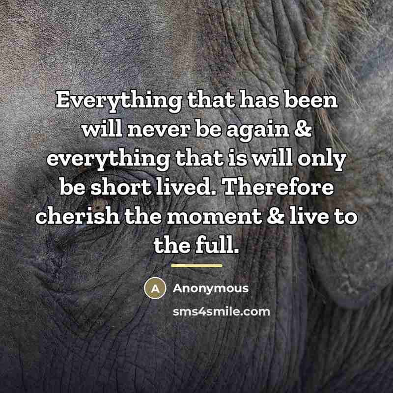 “Everything that has been will never be again & everything…” quote by Anonymous