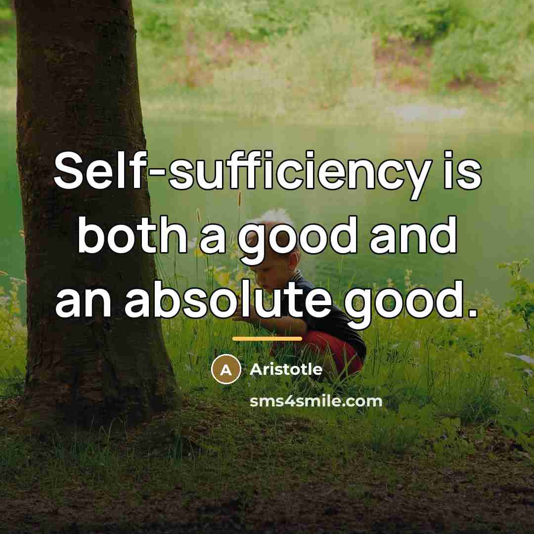 “Self-sufficiency is both a good and an absolute good.…” quote by Aristotle
