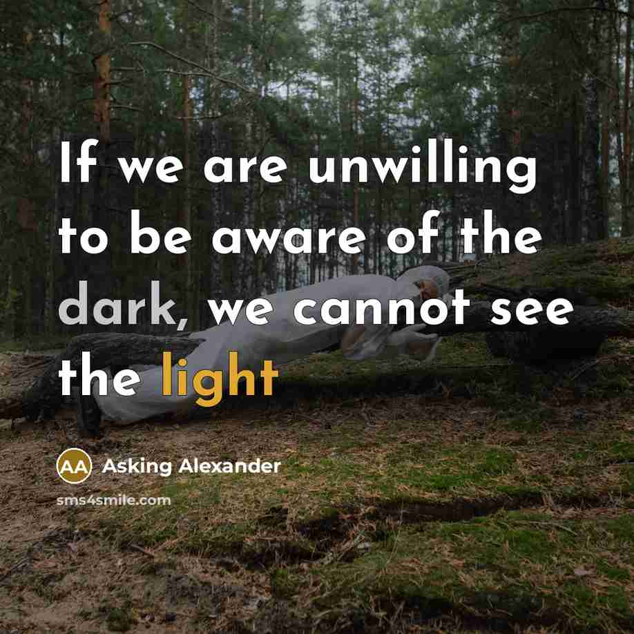 “If we are unwilling to be aware of the dark,…” quote by Asking Alexander