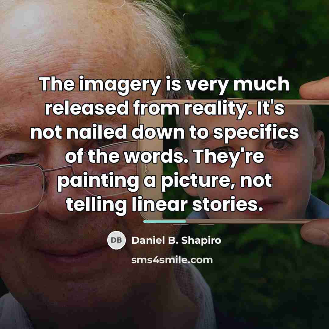 “The imagery is very much released from reality. It's not…” quote by Daniel B. Shapiro