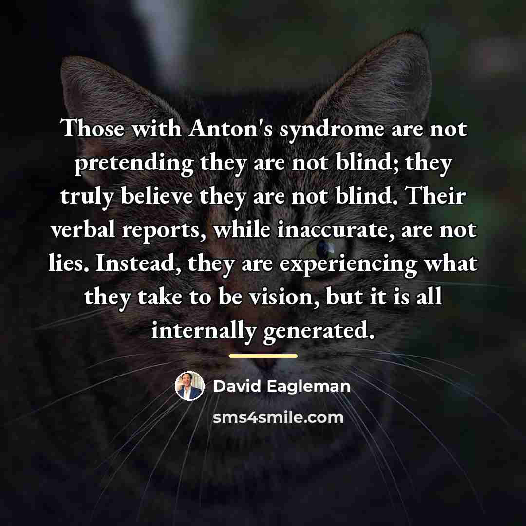 “Those with Anton's syndrome are not pretending they are not…” quote by David Eagleman