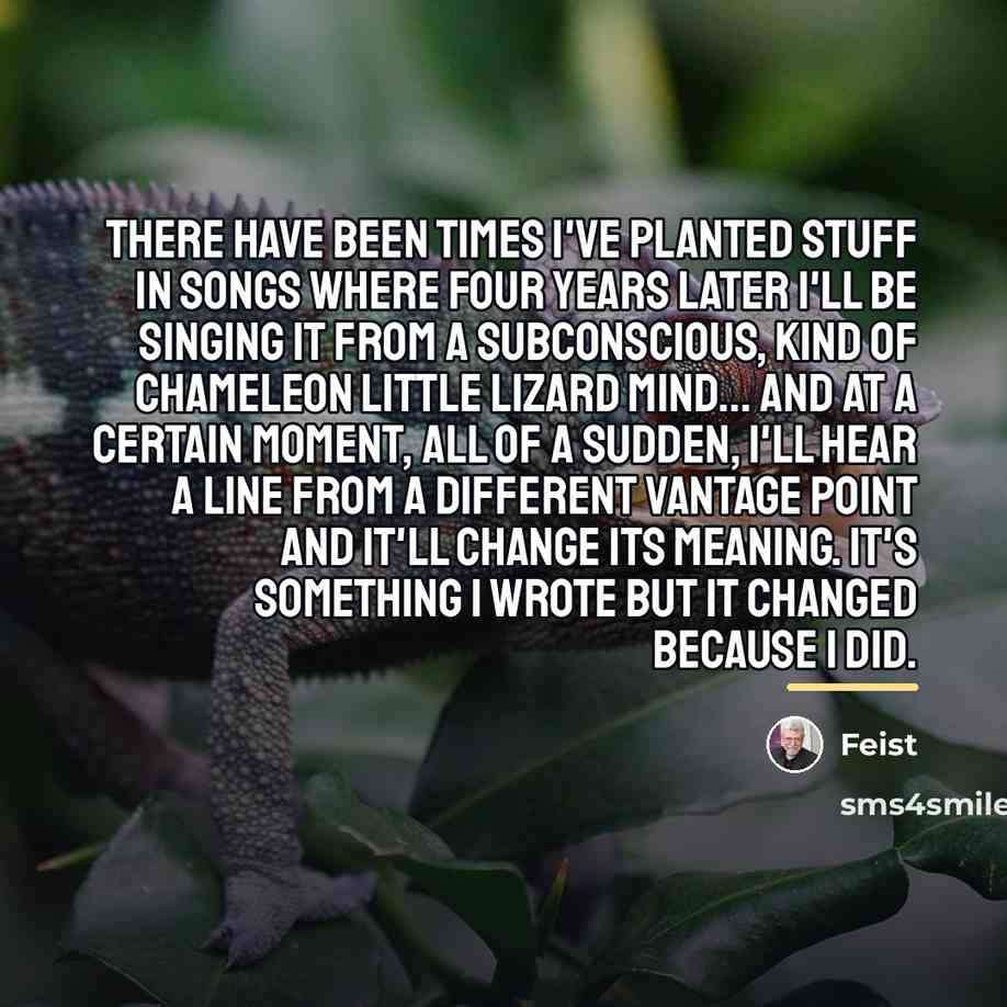 “There have been times I've planted stuff in songs where…” quote by Feist
