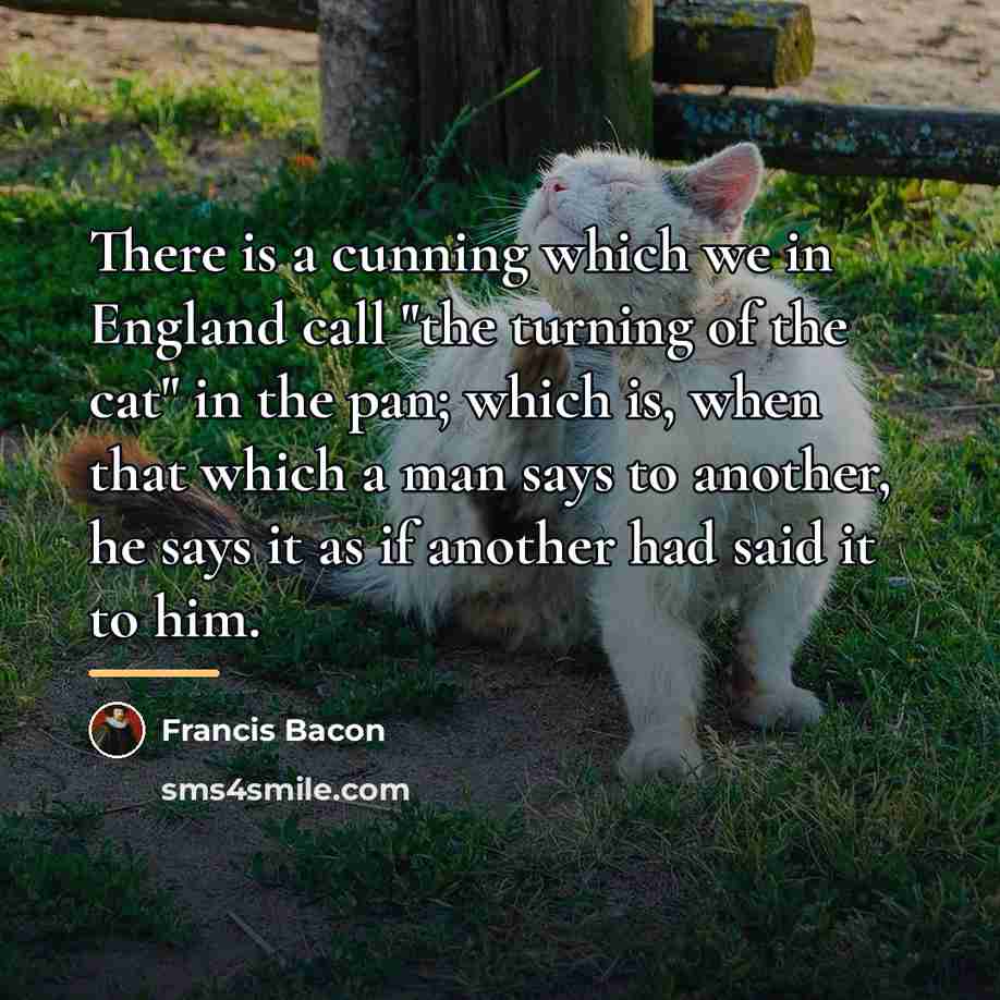 “There is a cunning which we in England call "the…” quote by Francis Bacon