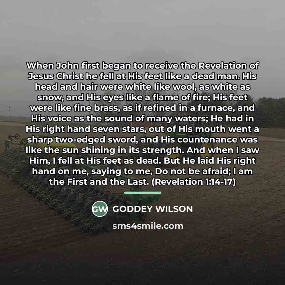 “When John first began to receive the Revelation of Jesus…” quote by GODDEY WILSON