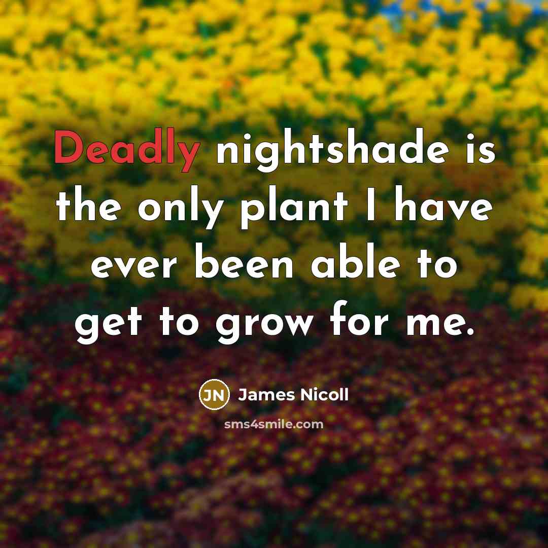 “Deadly nightshade is the only plant I have ever been…” quote by James Nicoll