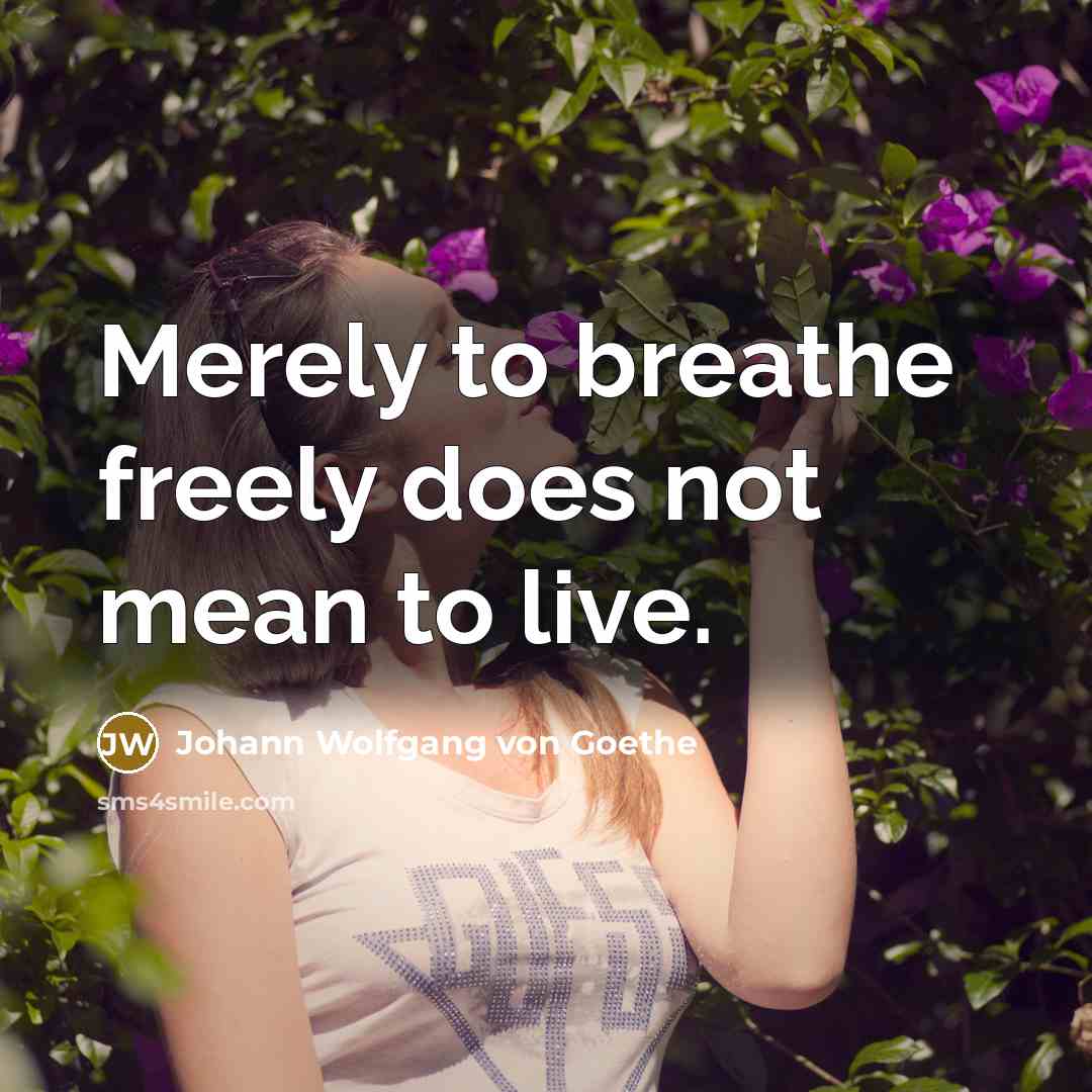 “Merely to breathe freely does not mean to live.…” quote by Johann Wolfgang von Goethe