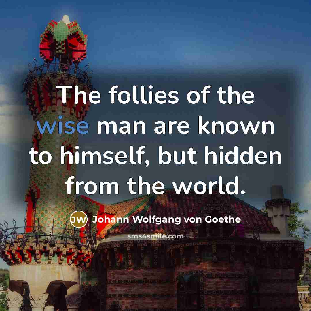 “The follies of the wise man are known to himself,…” quote by Johann Wolfgang von Goethe