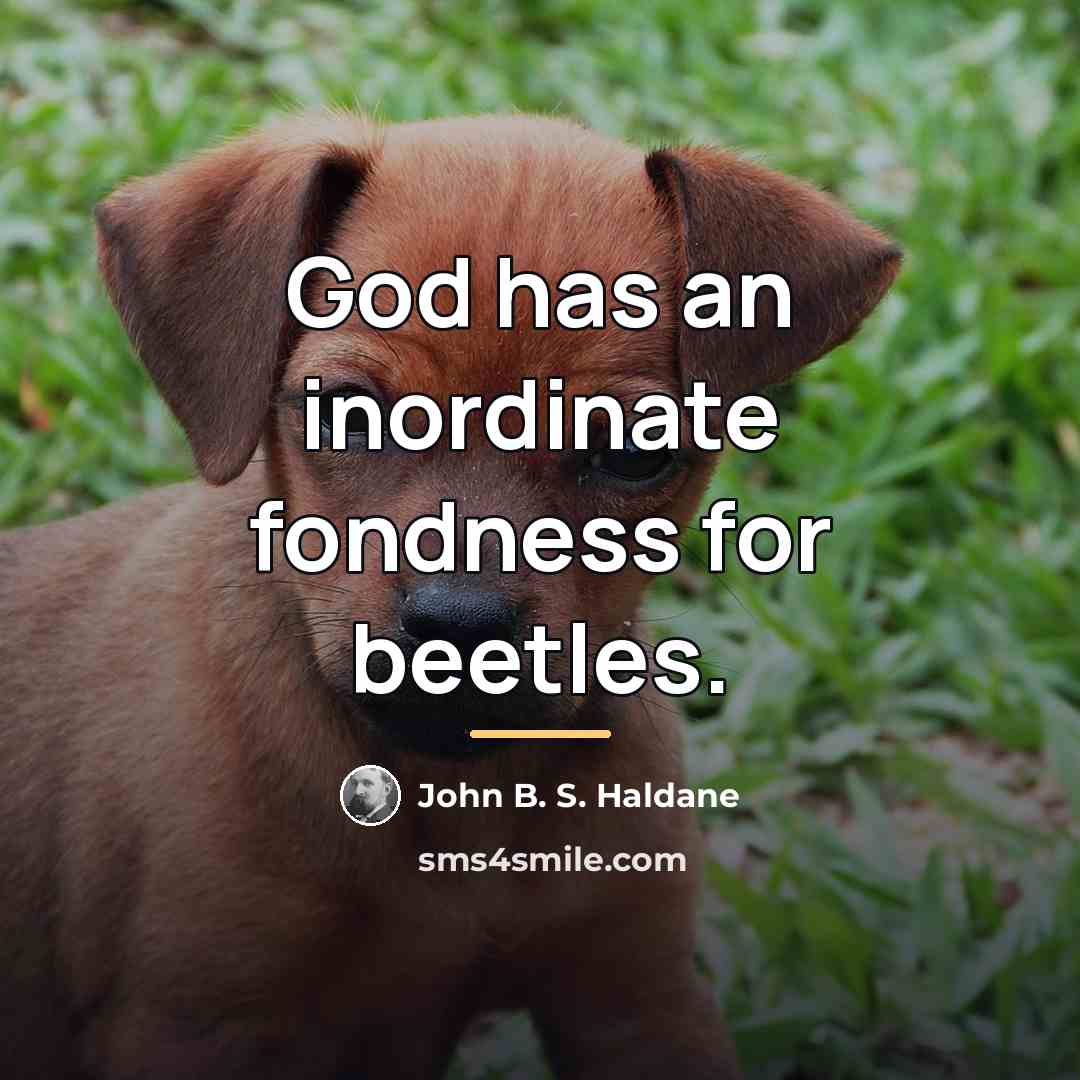 “God has an inordinate fondness for beetles.…” quote by John B. S. Haldane