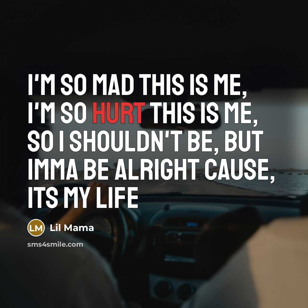 “I'm so mad this is me, I'm so hurt this…” quote by Lil Mama