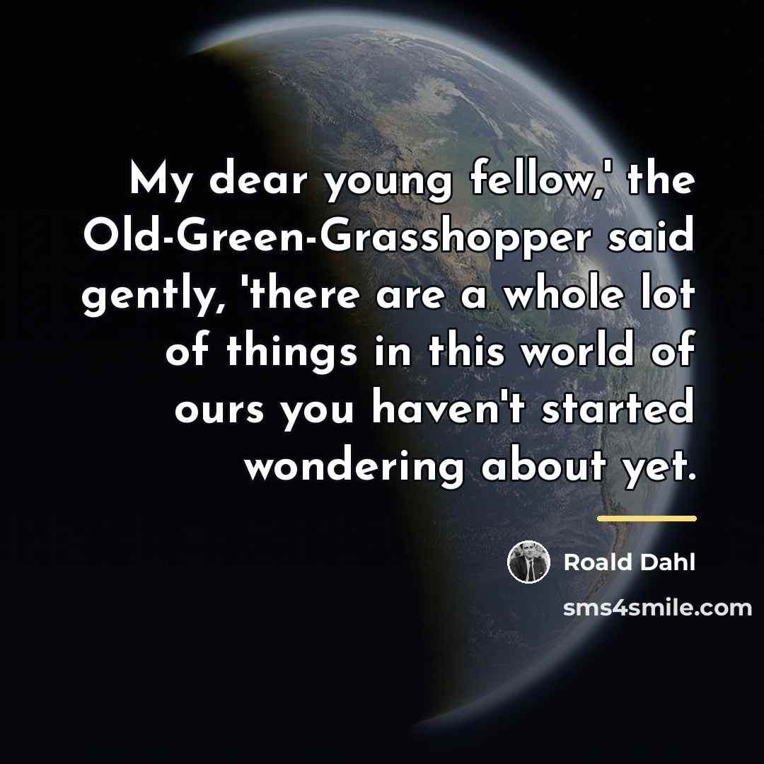 “My dear young fellow,' the Old-Green-Grasshopper said gently, 'there are…” quote by Roald Dahl