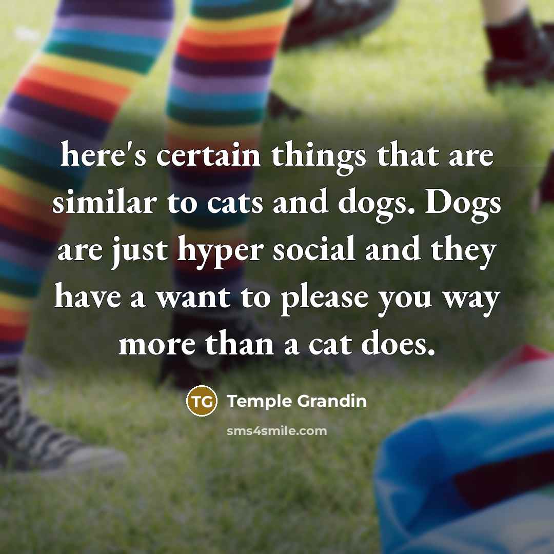 “here's certain things that are similar to cats and dogs.…” quote by Temple Grandin