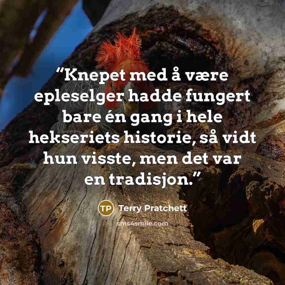 “Knepet med å være epleselger hadde fungert bare én gang i hele hekseriets historie, så vidt hun visste, men det var en tradisjon.” quote by Terry Pratchett