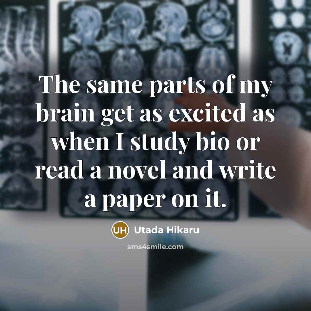 “The same parts of my brain get as excited as…” quote by Utada Hikaru